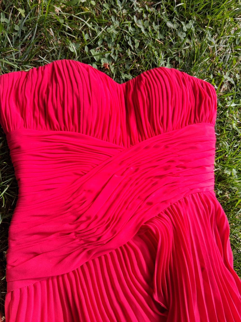 PROM DRESS Dalia Macphee Pleat Chiffon - Picture 3 of 14
